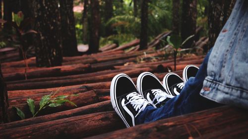 Close-up of shoes on tree trunk