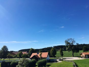 Houses by trees against blue sky on sunny day