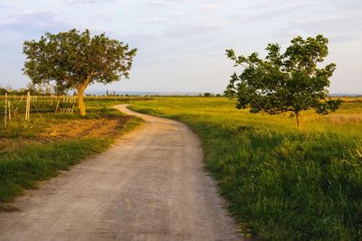 Empty road amidst field against sky