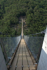 Footbridge in forest