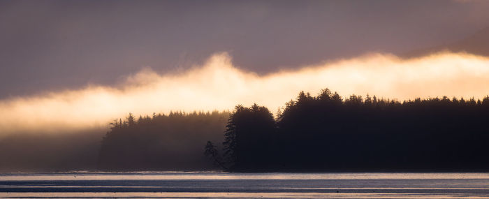 Silhouette trees by lake against sky during sunset