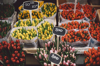 MARKET STALL FOR SALE