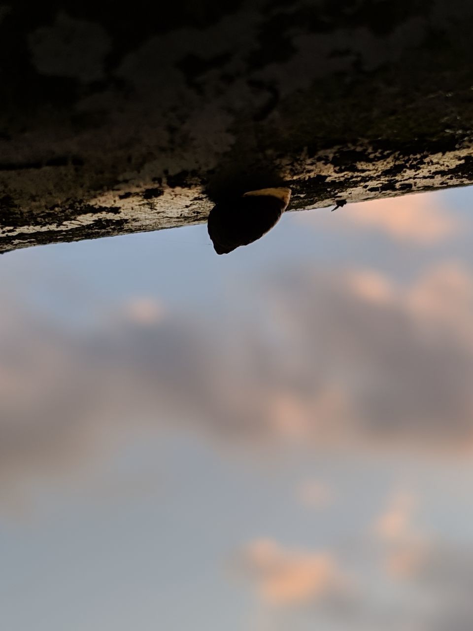 CLOSE-UP OF WATER DROPS ON RUSTY METAL AGAINST SKY