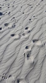 High angle view of footprints on sand at beach