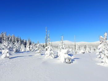 Panoramic view of snow covered land against clear blue sky