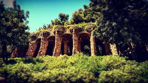 Low angle view of old building