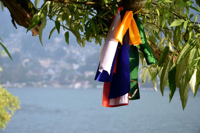 Low angle view of multi colored umbrellas hanging on beach against sky