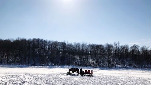 View of horse on snow covered field
