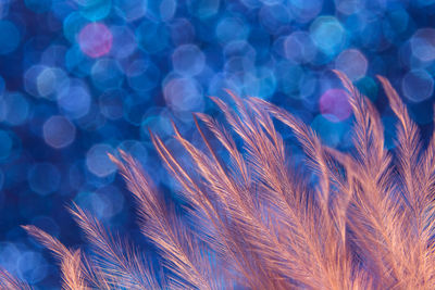 Defocused image of illuminated blue lights