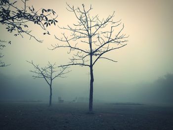 Bare tree on landscape against sky