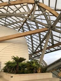 Low angle view of palm trees and building