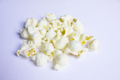 Close-up of white flowers