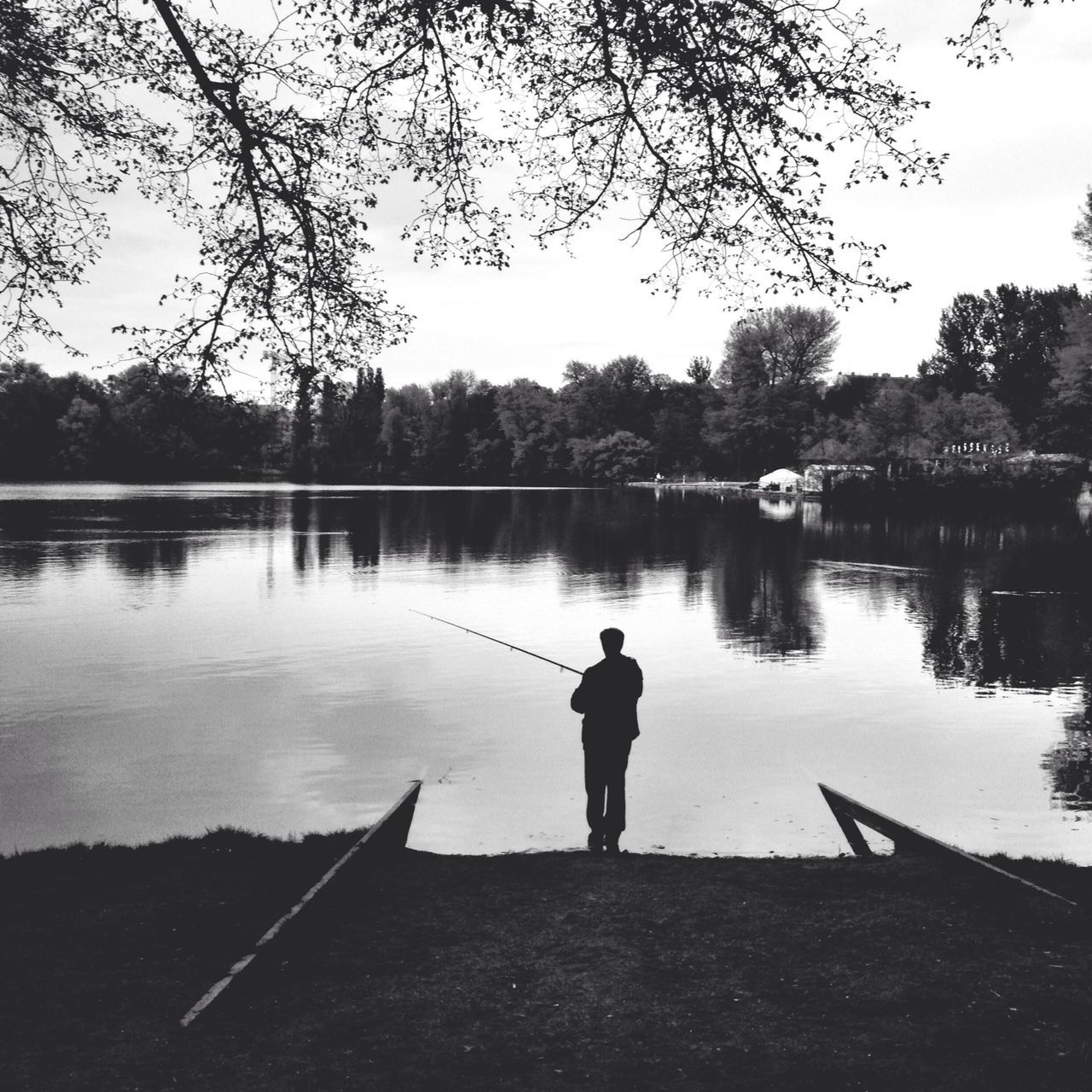 water, lake, tree, rear view, full length, reflection, standing, tranquility, men, lifestyles, leisure activity, river, tranquil scene, silhouette, lakeshore, nature, clear sky, outdoors