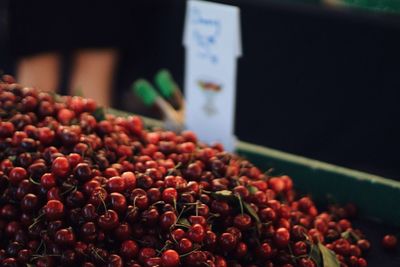 Close-up of red cherries