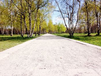 Road passing through trees