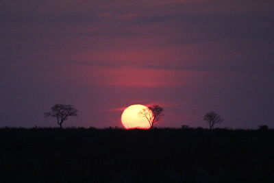 Low angle view of silhouette trees against sky at sunset