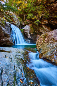 Scenic view of waterfall in forest