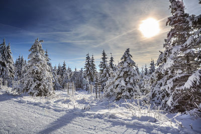 Snow covered land and trees against sky during winter