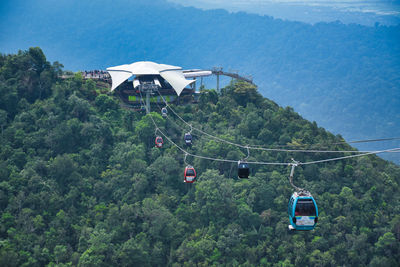 Overhead cable car against trees in forest