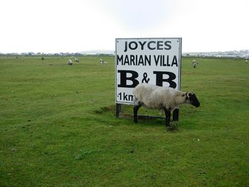Information sign on grassy field