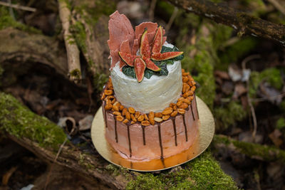 High angle view of pumpkin on wood against trees