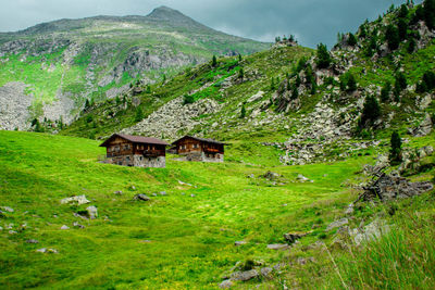 Houses on field