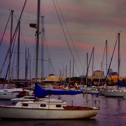 Boats moored in harbor