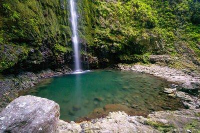 Scenic view of waterfall in forest