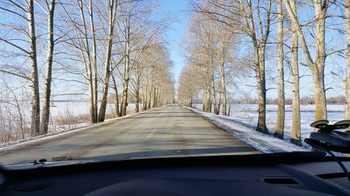 Road amidst bare trees against sky