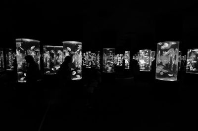 View of trees at night