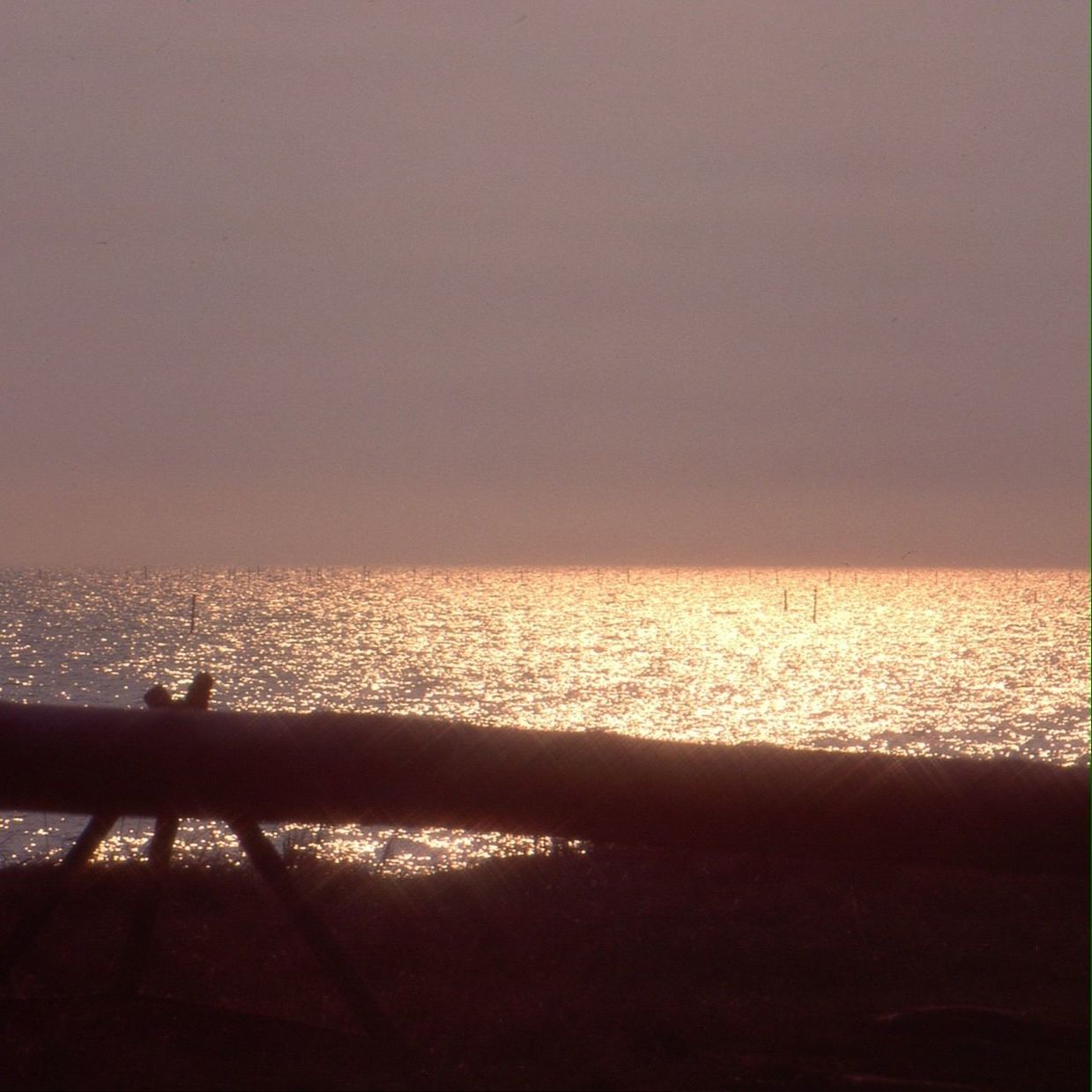 water, sea, horizon over water, tranquil scene, scenics, tranquility, sunset, beauty in nature, copy space, clear sky, silhouette, nature, idyllic, sky, beach, reflection, shore, sun, calm, sunlight