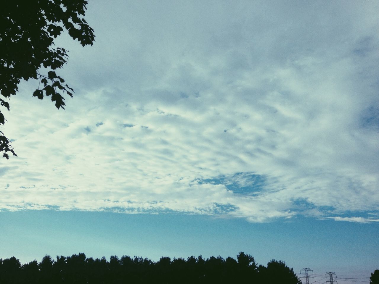 tree, sky, cloud - sky, low angle view, tranquility, silhouette, tranquil scene, scenics, beauty in nature, cloudy, nature, cloud, growth, branch, outdoors, idyllic, no people, dusk, weather, high section