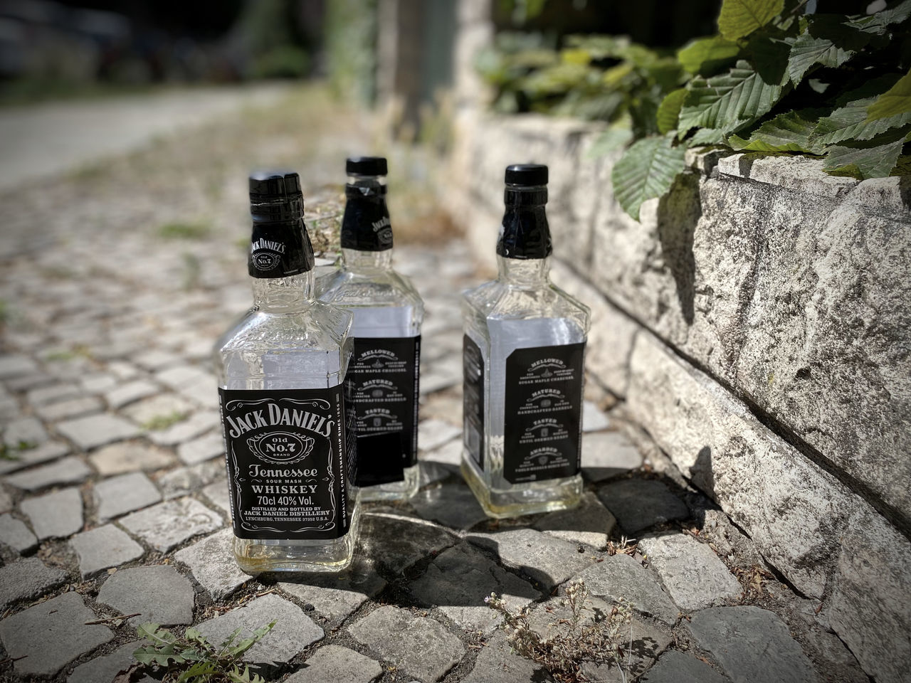 bottle, container, drink, no people, nature, food and drink, day, alcoholic beverage, distilled beverage, outdoors, refreshment, cobblestone, glass, footpath, plant, focus on foreground, sunlight, alcohol