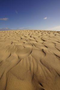 Sand dunes in desert against sky