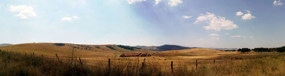 Scenic view of field against sky