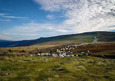 Scenic view of landscape against sky