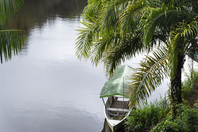 Boat stopped on the river among the trees. nilo pecanha, bahia, brazil.