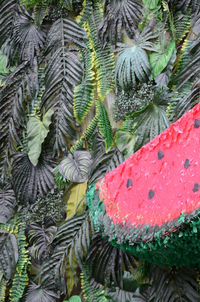 High angle view of fruit on tree