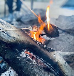 Close-up of bonfire on log