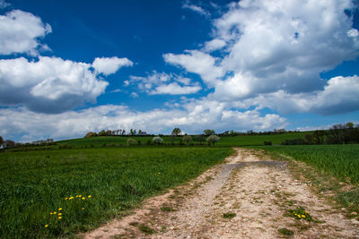 Dirt road amidst agricultural field against sky