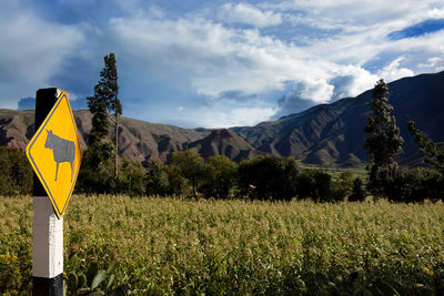 Scenic view of field and mountains against sky