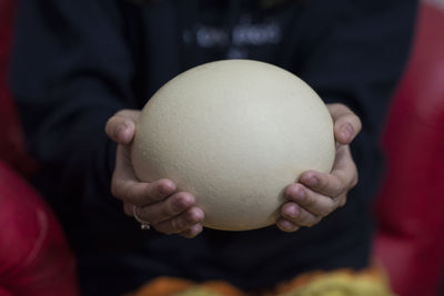 A gigantic egg