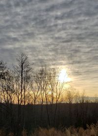 Silhouette bare trees on field against sky during sunset