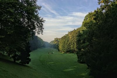 Scenic view of golf course against sky