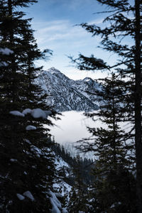 Scenic view of snow covered mountains against sky