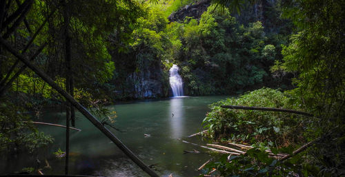 Afternoon bath ans waterfall