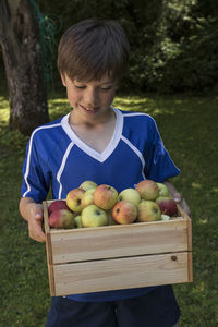 Boy holding apples in crate on field