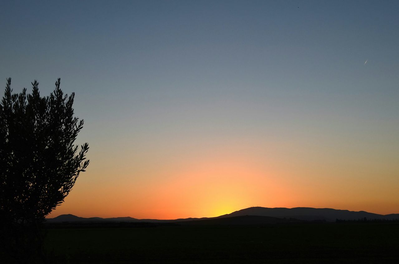 sunset, silhouette, tranquil scene, copy space, tranquility, landscape, scenics, beauty in nature, clear sky, orange color, nature, idyllic, field, sky, tree, dark, horizon over land, dusk, outline, outdoors