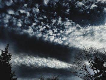 Low angle view of silhouette trees against sky