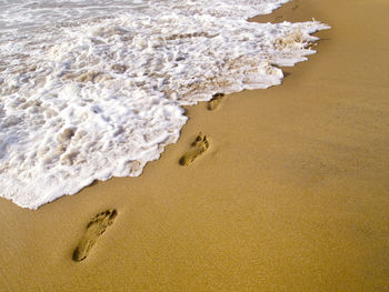 Footprints at the beach in sri lanka